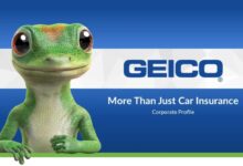 b2b geico