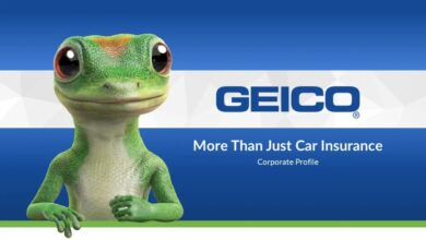 b2b geico